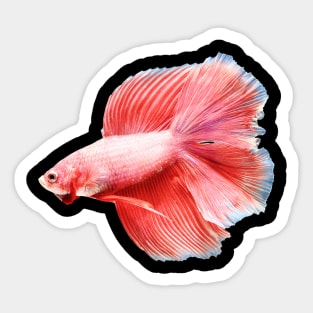 Red halfmoon Sticker